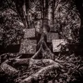 Kamasi Washington Harmony of Difference (CD) EP