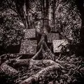 Harmony of Difference  von Kamasi Washington | CD | Zustand sehr gut