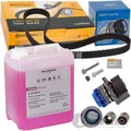 CONTI ZAHNRIEMEN-SATZ+5L G12 EVO 2,0 TFSI für AUDI A3 S3 A4 VW GOLF 5 GTI PASSAT