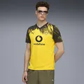 Damen/Herren Fußballtrikot Borussia Dortmund 25/26 Heim