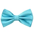 MASADA Herren Fliege Babyblau Seidenlook, stufenlos verstellbar, handgefertigt, Hakenverschluss - 12 x 6 cm 100% Polyester