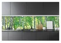 WallArena - Vlies Fototapete Küche Abwaschbar Wald Birken Küchentapete 250x60 - Fototapeten - Tapeten - für Wohnzimmer Schlafzimmer - Vliestapete Wandtapete Tapete 3D Effekt- inkl. Kleister