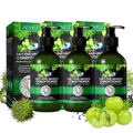 P-Beauty 3-in-1 Conditioner mit Rizinus-, Amla-, & Schwarzkümmelöl 3 x 300ml- Stärkt, pflegt und hydratisiert tiefenwirksam für gesundes, glänzendes Haar - unterstützt das Haarwachstum