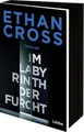 Im Labyrinth der Furcht: Thriller. Ein neuer Francis-Ackerman-jr-Thriller vom Bestseller-Autor (Ein Ackerman-Thriller. Die HÜTER-Reihe, Band 2)