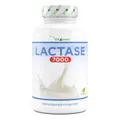 vit4ever Laktase 7000