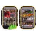 Komplettes Set mit 72 Fliegen: Ideal für Fliegenfischer und Forellenbarschangeln