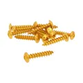 Schraubensatz 12 Stück Verkleidung Gold - 6x30