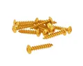 Schraubensatz 12 Stück Verkleidung gold - 6x30