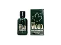 Dsquared 2  Green Wood pour Homme Eau de Toilette Spray 100 ml Herrenduft OVP