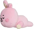 BT21 Cooky Baby Mini Kissen 30.5cm Plüsch Neu mit Etiketten Plüschtier Aurora