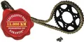 Kettensatz für Honda CBR 600 RR CBR600 PC37 PC40 (2003-2011) X- Ring verstärkt goldfarben  "16 zu 42"