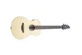 Breedlove Passport Travel 3/4 Konzertgitarre Sitkafichte Preamp Tunder Gigbag