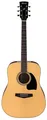 IBANEZ PF15-NT Performance Dreadnought