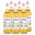 Monin Sirup Holunderblüte, 1,0L, 6er Pack