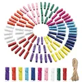 100 Stück Bunte Holzklammern Klein,Wäscheklammern aus Holz,Mini-Fotoklammern,10 Farben Zierklammern mit 10m Juteschnur zum Befestigen von Fotos,Karten,Postkarten,Dekoration und Basteln(3,5×0,7cm)