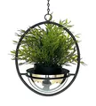 DanDiBo Blumenampel Innen Metall Wand Hängepflanzen 43 cm 96087 S mit Topf Silber Pflanzenhänger Blumenhänger Topfhänger Blumen Blumentopfhänger Hängetopf