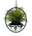 DanDiBo Blumenampel Innen Metall Wand Hängepflanzen 43-78 cm mit Topf Silber