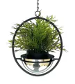 Blumenampel Innen Metall Wand Hängepflanzen 43 cm 96087 S mit Topf Silber Modern