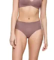 Triumph Women's Flex Smart Maxi EX Briefs, Rose Brown, M