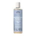 Urtekram Fragrance Free Shampoo – Zertifiziertes Bio-Shampoo Vegan, Parfümfrei für empfindliche Kopfhaut, Aloe Vera & Glycerin, sanfte Reinigung & Feuchtigkeit, 250 ml (1er Pack)