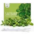 5m Saatband Feldsalat Samen (Verte a coeur plein 2 - Valerianella locusta) - Knackig, frischer Salat ideal für die Anzucht im Garten, Balkonkasten & Gemüsebeet