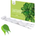 5m Saatband Feldsalat Samen (Verte a coeur plein 2 - Valerianella locusta)