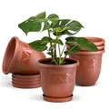 Plastard Blumentöpfe 5er Set 21 cm Durchmesser Terrakotta runder Pflanzkübel mit Untersetzer aus Kunststoff witterungsbeständiger Übertopf großer Blumentopf