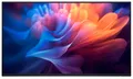 DELL P2725H LED-Monitor 27" (68,58cm) - IPS - 1920x1080 - 16:9 - 300cd/m² - 100Hz - ohne Standfuß - HDMI, DP, VGA, USB 3.2 [Energieklasse D] (DELL-P2725HWO)