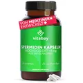Vitabay Spermidin 6 mg Hochdosiert – 120 vegane Kapseln mit fermentiertem Weizenkeimextrakt – Natürlich hergestellt - Laborgeprüft in Deutschland & ohne Zusatzstoffe – Vorrat für 4 Monate
