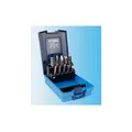 PFERD HSS-FRÄSSTIFT SET 81 Z3 HSS