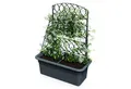 Spetebo Blumenkasten Kunststoff Blumenkasten anthrazit mit Rankgitter - 80 x 59 cm (Anzahl, 1 St., Stück), Rank-Pergola abnehmbar