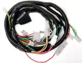 Elektrischer Kabelbaum Chinaroller 4T 101.OCTANE