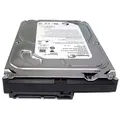 Seagate ST2000DL001 2 TB interne Festplatte (8,9 cm (3,5 Zoll), 5900 rpm, 32MB Cache, SATA)