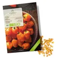 BIO Chili Samen (Habanero Orange, 250.000 Scoville) - Chili Saatgut aus biologischem Anbau ideal für die Anzucht im Garten, Balkon oder Terrasse (10 Korn)