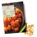 BIO Chili Samen (Habanero Orange) - biolog. Anbau (250.000 Scoville, 10 Korn)