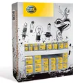 HELLA Glühlampen Sortiment Satz Halogen 24V H1 H3 H4 H7 C5W W5W P21W P21/5W R5W R10W T4W W1,2W Sockelglühlampe
