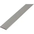 BA-Profil flach Natur 2 mm x 30 mm x 1000 mm