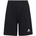 Adidas Entrada 22 Short Kinder - schwarz