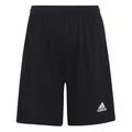 adidas Unisex Kinder Entrada 22 Shorts, Black, 7-8 Years
