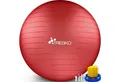 TRESKO Gymnastikball mit GRATIS Übungsposter inkl. Luftpumpe Yogaball, BPA-Frei Sitzball Büro Anti-Burst inkl. Luftpumpe, Fitnessball