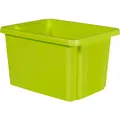 Keter Germany GmbH CURVER ESSENTIALS Stapelbox, 26 Liter, Aufbewahrungsbox für den Haushalt, Farbe: grün 225499