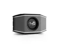 Teufel Fender x Teufel ROCKSTER GO 2 Wireless Lautsprecher (Bluetooth, 8 W, IP67-zertifiziert)