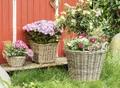 Rattan Korb Gr. XL Korbgefecht Pflanzenkübel Griffe Garten Terrasse Ø 45 H 40 cm