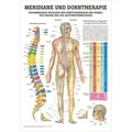 Meridiane u. Dorn Mini-Poster Anatomie 34x24 cm medizinische Lehrmittel, Nicht Laminiert