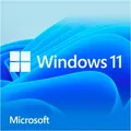 Windows 11 Home, Betriebssystem-Software 64-Bit, Deutsch, USB-Stick