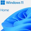 Microsoft Windows 11 Home - Box-Pack - 1 Lizenz - Flash-Laufwerk