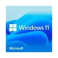 Windows 11 Home, Betriebssystem-Software - 64-Bit, Deutsch, USB-Stick