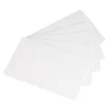 Evolis Plastic Cards (C4, 100 Blätter) (C4001)