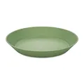 Koziol PLATE 240mm Tiefer Teller 240mm 4er Set nature leaf green, 7143703
