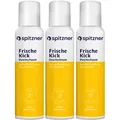 Spitzner Duschschaum FrischeKick, 150ml, 3 Stück im Karton